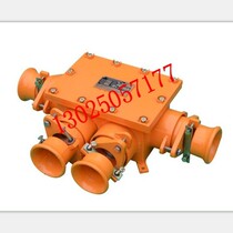 BHD2 - 100 200 400A 1140V 660 380-2T 3T 4G wiring box explosion-proof cartridge