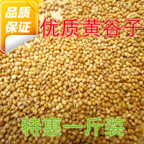 Bird food Bird feed Natural food Grain millet parrot 500g unshelled millet selected