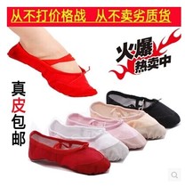 Childrens Adult Yangko Square Dance Shoes Latin Dance Soft Sole Cat Claw Shoes Ballet Exercise Shoes Cotton Shoes Girls