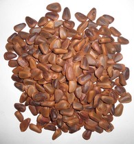 Wild cooked pine nuts 500 grams a catty of stupid fried artificial opening northeast large granules of original pregnant women nuts