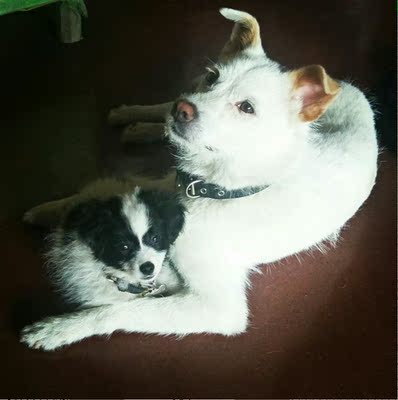 吸进去皮肤很痛,不知道有没有效果!用一段时间再来评价吧! 吸进去皮肤很痛,不知道有没有效果!用一段时间再来评价吧!