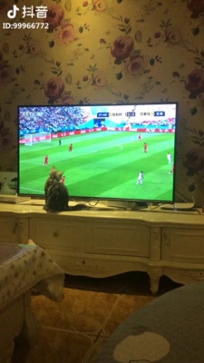 很好看，就是建议大家买大一号，下胸围还是稍微有一点紧。五分好评～