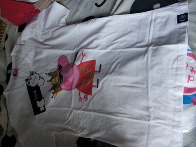 我是咱家的老顾客了。这次主要是出了CSGO的衣服，觉得很不错所以毫不犹豫就拍了。社会银哪可能不买小猪佩奇呢哈哈哈，很霸气好吧！最后帮对象买了件DVA（毫无色差）。布料非常不错，不吹牛逼好吧，亲自穿上去什么感觉自己知道，很软和。话不多说放上一万张配图。谢谢老板送的小挂件??