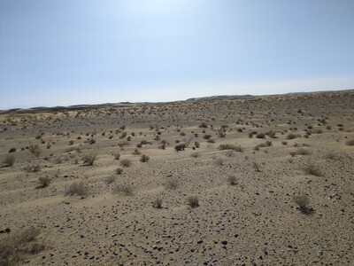 质量非常好，与卖家描述的完全一致，非常满意,真的很喜欢，完全超出期望值，发货速度非常快，包装非常仔细、严实，物流公司服务态度很好，运送速度很快，很满意的一次购物