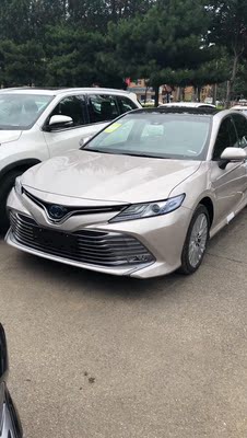 royalty line果汁机怎么样,专家分析,royalty line果汁机怎么样，真相如何,不看后悔