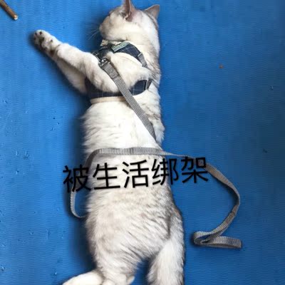 此用户没有填写评价。