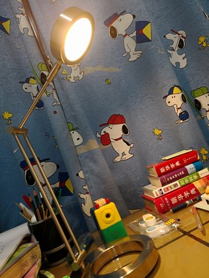 分析给孩子买德国柏曼护眼灯怎么样,真的有用吗?哪款好?