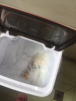 tco洗衣机用着怎么样,口碑,tco洗衣机怎么样,认真看完这文章,恍然大悟