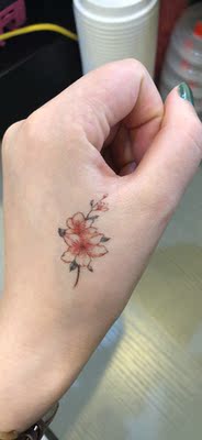 超好看 而且效果很好 只是不知道几天会褪色