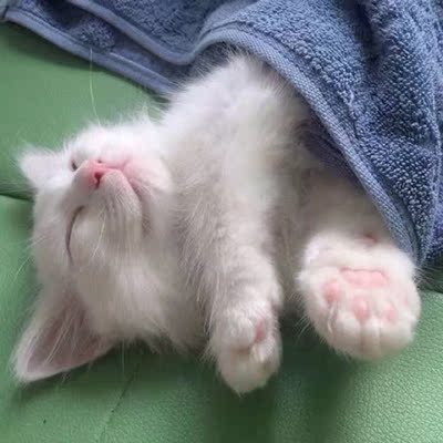 可以说相当不错了，可以的奈斯哈哈哈哈哈哈哈哈哈哈哈哈哈哈哈哈哈哈哈哈哈哈哈哈哈哈哈哈哈哈哈哈哈哈哈哈哈哈哈哈哈哈哈