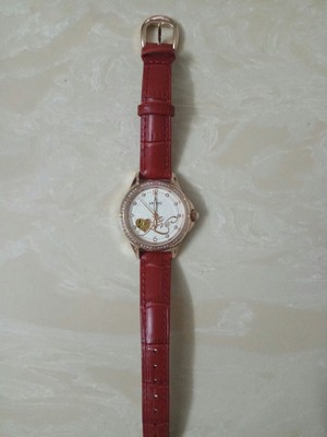 【揭秘】亚铂尼手表怎么样,是什么档次的?这个表真的是名牌表吗