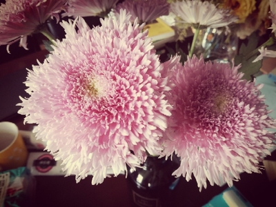 目前看来美的MB-WFS3018Q电饭煲怎么样,美的质量如何,值得入手吗