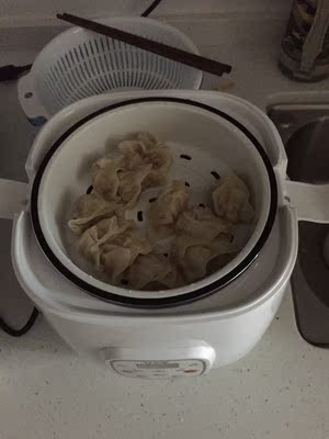 调查心得优雪YX-2040电饭煲怎么样,优雪好不好呢,用后反馈