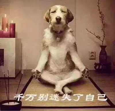 体面的，挺好的傻X破ingJS录取上了热搜哦破