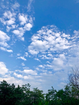 红红火火恍恍惚惚