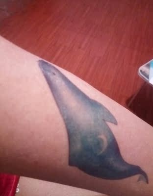 快递收到了，就用上了，感觉自己好傻，第一张忘记了撕开就用水了哈哈，这一张呀又没贴好。哎。傻死了，不过还挺好看的。