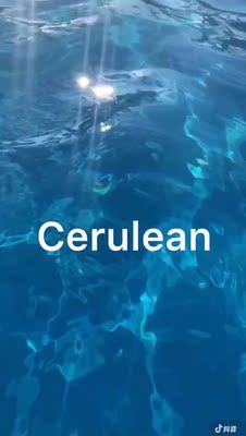 内衣真的特别好穿，赶紧又下单了两件，真的是大胸的福利，毫无束缚感，而且面料也是特别柔软的，已经推荐给身边的朋友啦，卖家服务态度好，很诚恳，问了很多问题，都一个个耐心的解答，喜欢的大胸妹子来这里下单肯定没错的，相信我，不是托，纯属个人观点，等这几件穿完再来买，哈哈哈哈哈哈，怎么写了这么多，产品真是没话说，好好好好好，非常棒