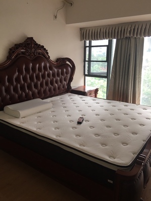 讨论斯林百兰床垫怎么样，质量好吗？斯林百兰哪款床垫好？