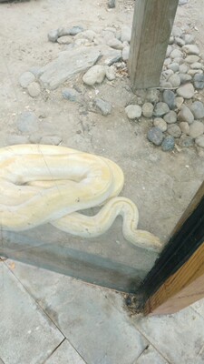 好好好一万个好好好好好好好好好好好好好好好好好好好好好好好好好好好好好好好好好好好好好好好好好好好好好好好好好好好好好好好好好好好好好好好好好好好好好好好好好好好好好好好好好好好好好好好好好好好好好好好好好好好好好好好。