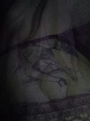 要是带彩色更完美了