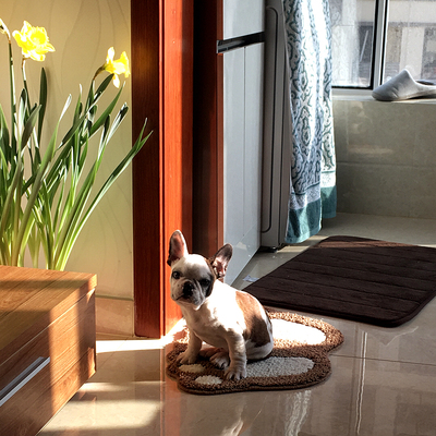 真实使用感受牧康乐狗粮怎么样,给狗狗吃好不好?这个牌子狗粮能买吗