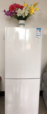 Haier/海尔 BCD-196TMPI 196升两门家用静音节能电冰箱 冷藏冷冻