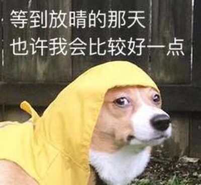 还可以 之前买了红色 穿着不错 这次又买了俩 其中一个中间蕾丝拼接的地方 穿着的时候 特别像凸点 太尴尬 给换了 码数是正的 还可以 之前买了红色 穿着不错 这次又买了俩 其中一个中间蕾丝拼接的地方 穿着的时候 特别像凸点 太尴尬 给换了 码数是正的