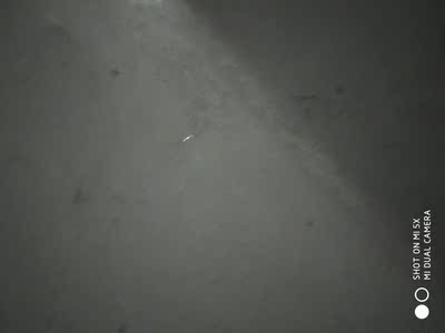 不是一般的差物流也慢，质量不直这么多钱，一穿身上那身上的亮片不要命的掉无语了！