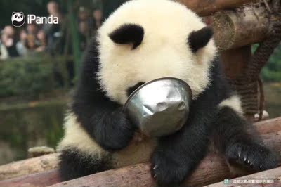 这个我恨不得给差评，我身高160，体重108，比我还糟糕的别买了，和我一样的也别买，比我好不到哪去的也别买了，内裤十分小，穿上去都卡住了，适合那些小美女吧，买了也不能穿，就当是掉了十块钱好了