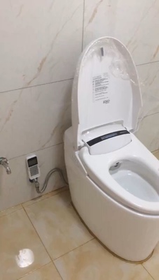 调查心得请问德希顿即热家用坐便器怎么样,好不好用?冲力大吗?