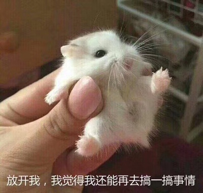 好看好看很好看 因为我比较白所以没有觉得很显黑啊 比较青春很好看 质量也很好 喵喵喵喵喵喵喵喵喵喵喵喵喵喵喵喵喵喵喵喵喵喵喵喵喵喵喵喵喵喵喵喵喵喵喵喵喵喵喵喵喵喵喵喵喵喵喵喵喵喵喵喵喵喵喵喵喵喵喵喵密密麻麻密密麻麻喵喵喵喵喵喵