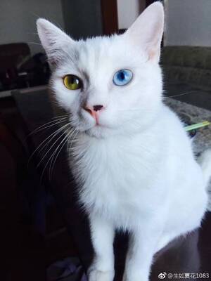 好看好看好看好看好看好看好看好看好看好看好看好看好看好看好看好看好看看好好好看好看好看好看好看好看好看好看好看好看好看好看好好好看好看好看好看好看好看好看好看好看好看好看好看好看好看好看好看好看好看好看好看好看好看好看看好看好看好看好看好看好看好看好看好看好看好看好看好看好看好看好看好看好看好看好看好看好好好看好看好看好看好看好看好看好看好看好看好看好看看好看好看好看好看好看好看好看好看好看好看好看好看好看好看好看好看好看好看好看好看好好看好看好看好看好看好看好看好看好看好看好看好看看好看好看好看好看好看好看好看好看好看好看看好看好看好看好看好看好看好看好看好看好看看好看好看好看好看好看好看好看好看好看好看好看看好看好看好看好看好看好看好看好看好看好好好好看好看好看好看好看好看好看好看好看好看好看好看看好看好看好看好看好看好看好看好看好看好看好看好看好看好看好看好看好看好看好看好看好看好看好看好看好看好看好看好看好看好看好看好看好看看好看好看好看好看好看好看好看好看好看好看好看好看好看好看好看好看好看好看好看好看看好看好看好看好看好看好看好看好看好看好看看好看好看好看好看好看