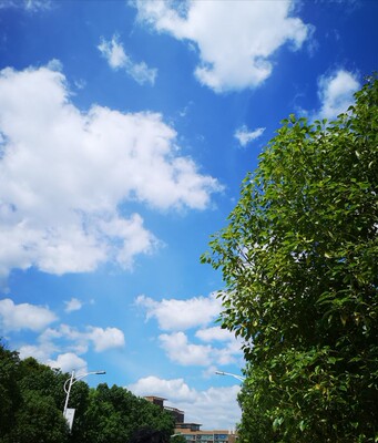 内裤有点过于小？？？ 文胸很薄不露点  超级百搭内裤有点弹性 亮晶晶的 完全 内衣洗过了不褪色 质量也很好啦 要是能自由搭配裤子码子就好了 有点小穿着有点不舒服 总体很满意( &cap;՞ټ՞&cap;)