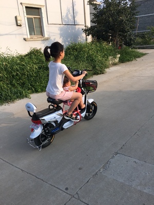 激战新款电动车成人电动自行车48V小型电瓶车男女代步电车电动车