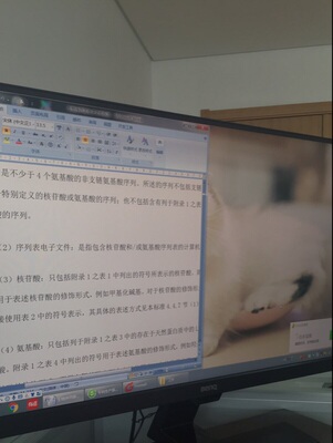 揭秘明基显示器怎么样,三个月使用彻底后悔了,内幕曝光