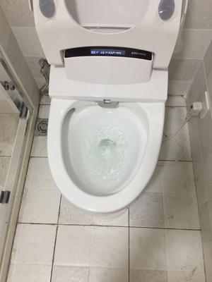 求助!德希顿智能马桶怎么样,属于什么档次,哪生产的,值得买吗