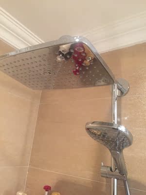 体验汉斯格雅花洒怎么样，质量好吗，价格这么贵好在哪里？