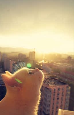 满意，老顾客了，秋冬款入的比较多，这条之前也拍过几次，这次一共拍了四件宝贝，就不一一评价了，祝店家生意兴隆~