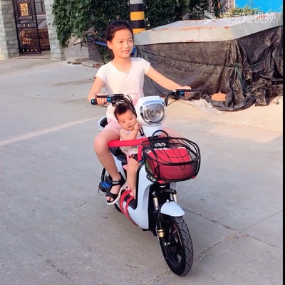 激战新款电动车成人电动自行车48V小型电瓶车男女代步电车电动车