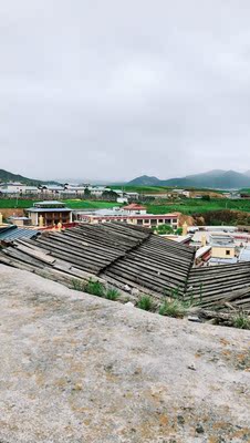 在人生这条路上,我们无路可退,也无法逃避,只能让肃杀的风凌冽地扑面而来,冻得鼻青脸肿却不屈地缓慢前行。 质量非常好,与卖家描述的完全一致,非常满意,真的很喜欢,完全超出期望值,发货速度非常快,包装非常仔细、严实,物流公司服务态度很好,运送速度很快,很满意的一次购物。 在人生这条路上,我们无路可退,也无法逃避,只能让肃杀的风凌冽地扑面而来,冻得鼻青脸肿却不屈地缓慢前行。 质量非常好,与卖家描述的完全一致,非常满意,真的很喜欢,完全超出期望值,发货速度非常快,包装非常仔细、严实,物流公司服务态度很好,运送速度很快,很满意的一次购物。