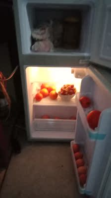 PANDA/熊猫BCD-98小型冰箱冷藏冷冻家用电冰箱宿舍租房双门小冰箱