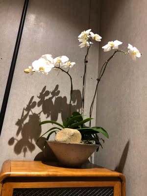 质量非常好，与卖家描述的完全一致，非常满意,真的很喜欢，完全超出期望值，发货速度非常快，包装非常仔细、严实，物流公司服务态度很好，运送速度很快，很满意的一次购物