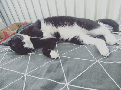 [cp]#吴谨言[超话]# #聂远[超话]#【《#延禧攻略#》之后剧透！！&mdash;&mdash;令妃还原娘娘死亡真相，皇上终于说出了自己对容音的愧疚：&ldquo;不是她多情，是朕太无情。&rdquo;[泪][泪][泪]】 还是璎珞啊，扭转了皇上心中皇后的样子&hellip;&hellip; 终于知道皇后临死前发生了什么，终于知道那尔晴对皇后说了什么，终于知道皇后带着怎样的心境跳下了角楼。令妃知道这一切手气到发抖。 在令妃诘问皇上前，皇上一直对容音是失望的，他怪她柔弱，他怪她不能承担，而当这一切真相大白，当令妃诘问他，皇上终于明白：不是皇后多情，是自己太无情。  皇上没有听到容音最后的&ldquo;五错&rdquo;，他也终于读懂了容音。 容音临死前说：&ldquo;我成了六宫典范，从了体统规矩，依旧留恋过去，大梦不醒，此为一错；我失了真正的自己，做了牵扯线木偶，却贪恋儿女情长，期望得到皇上的爱，此为一错&hellip;&hellip;&rdquo;  皇上也终于说出了自己对容音的愧疚：&ldquo;朕做错了一件事，对不起一个人，这个错误，朕一生都无法弥补，容音，十五岁便做了朕的嫡福晋，而朕却任她像一朵盛开的花，慢慢在紫禁城里枯萎，她不是寻常的女子，她是朕的结发妻子，结发同心一生相伴，行到途中，她却食言了&hellip;&hellip; 在令妃诘问朕之前，朕一直对容音