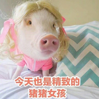 对应标题 对应标题