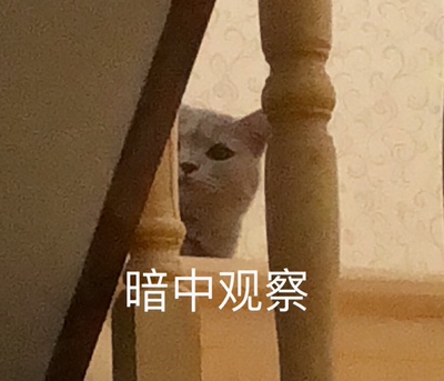 内衣的钢丝有一点硌  还是不太喜欢穿这种的 送人了 不过外观很漂亮很漂亮