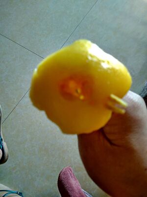 这样拍过去居然说不合规矩