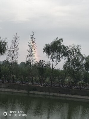 隐形内衣质量挺不错的，穿着也挺舒服，赞一个！以后有需要会回购！