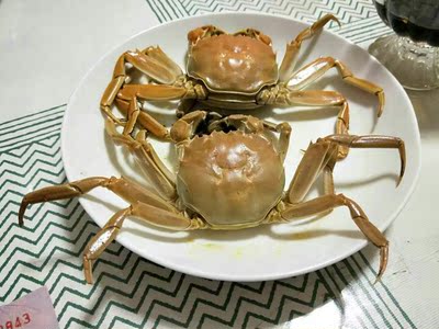 因为本仙女很懒，不想每一件商品都一样一样地去写好评，所以特意写了这样一个评论。但是这件商品无论是质量、材质还是款式，肯定都是本仙女所中意的，如果本仙女不喜欢的话，本仙女收到货肯定是会很生气的，很气很气的那种哦。不然这个评论肯定会变成那种喋喋不休，怨气横生，怨天怨地的那种。最后当然不可能忘了给这件商品一个好评，给各位爱淘宝的宝宝们一个购物参考，这个产品还是非常值得购买的！ 祝看到这条评论的各位小仙女们永远年轻漂亮美丽大方，永远都是16岁