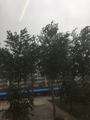 体验利仁空气炸锅怎么样，质量很差是真的吗