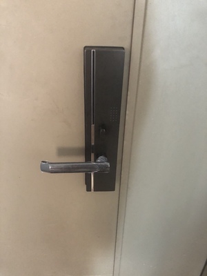 如何评价德施曼小嘀智能指纹锁怎么样,好不好用?业主真实评测!